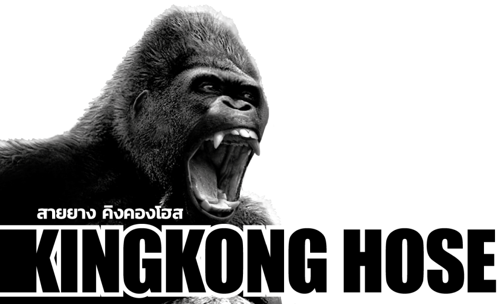 Logo Kingkongsquare